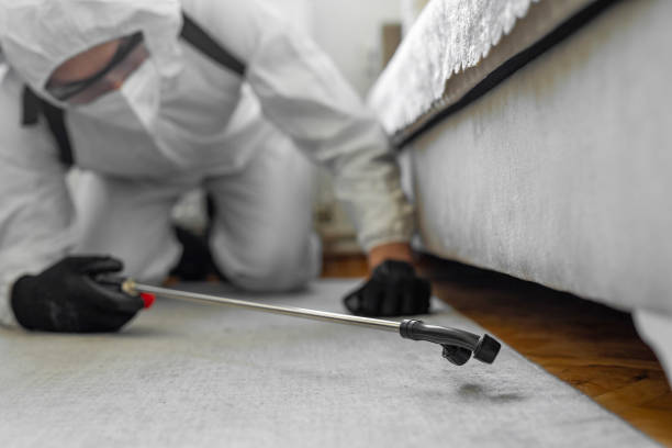 Professional Bed Bug Control technician working in East Meadow, NY